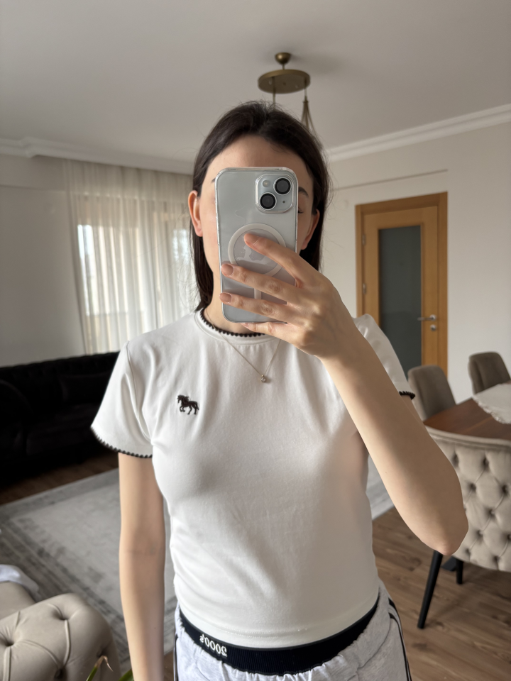 Nakış Detaylı Crop T-Shirt